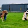 Pfarrer Florian Bach segnete die anwesenden Tiere zu Leonhardi in Balzhausen.