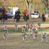 Die „Foxhounds“ jagen heran und die Reiter hinterher. Die Hubertusjagd Grünau beschränkte sich heuer auf kürzere Strecken rund ums Schloss.