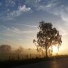 Herbstmorgen an der Schmutter bei Wollishausen: Gesehen und fotografiert von Silvia Kugelmann. 