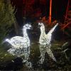 Leuchtende Schwäne, glitzernde Eisbären oder ein Elefantenbaby sind Teil des diesjährigen Christmas Garden im Zoo. 