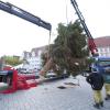 Mit etwas Verzögerung wurde der Christbaum – eine serbische Fichte – auf dem Hauptplatz aufgestellt.