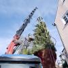 In Landsberg wird am selben Tag sowohl der Christbaum auf dem Hauptplatz aufgestellt als auch das Christkind im Historischen Rathaus vorgestellt.