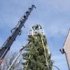 In Landsberg wird am selben Tag sowohl der Christbaum auf dem Hauptplatz aufgestellt als auch das Christkind im Historischen Rathaus vorgestellt.