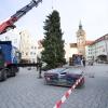 In Landsberg wird am selben Tag sowohl der Christbaum auf dem Hauptplatz aufgestellt als auch das Christkind im Historischen Rathaus vorgestellt.