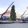 In Landsberg wird am selben Tag sowohl der Christbaum auf dem Hauptplatz aufgestellt als auch das Christkind im Historischen Rathaus vorgestellt.