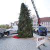 In Landsberg wird am selben Tag sowohl der Christbaum auf dem Hauptplatz aufgestellt als auch das Christkind im Historischen Rathaus vorgestellt.