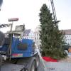 In Landsberg wird am selben Tag sowohl der Christbaum auf dem Hauptplatz aufgestellt als auch das Christkind im Historischen Rathaus vorgestellt.