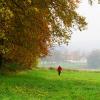 Auch an trüben Herbsttagen haben Wanderungen ihren Reiz.