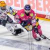 Angreifer Liam Kirk trifft mit den Eisbären Berlin auf seinen Heimatclub Sheffield Steelers.