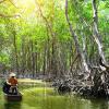 Eine Tour durch die Mangroven wird in Malaysia zum schillernden Erlebnis.