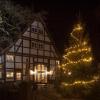 Auch wenn keine Tiere im Bild sind: Im Tierpark Sababurg wird Adventsmarkt gefeiert.