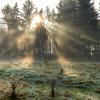 Zum Wochenende erwarten uns in Bayern ein paar Sonnenstrahlen.