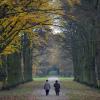 Ein November-Spaziergang im Trockenen ist heute in weiten Teilen Bayerns möglich.