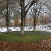 Unter diesen drei Linden auf dem Bergfriedhof in Lindenberg sind künftig Baumbestattungen möglich. 