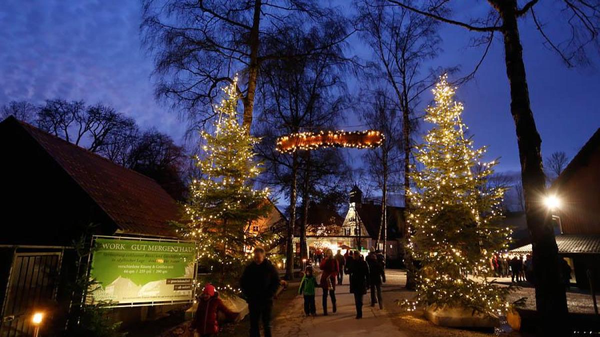 Weihnachtsmarkt Gut Mergenthau 2024: Erleben Sie die magische Waldweihnacht!