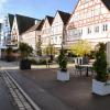 Ein einheitliches Erscheinungsbild wünscht sich der Bauausschuss für
die Blumentröge am Marktplatz.