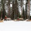 Rentierschlittenfahrt durch den Winterwald: So ungefähr fühlt sich also der Weihnachtsmann.