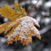 Auch wenn das herbstliche Wetter überwiegt – mancherorts fällt in Bayern schon der erste Schnee.