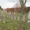 Blick auf den jüdischen Friedhof in Buttenwiesen.