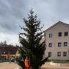 Unser Wetterbeobachter Benjamin Grimm, der auch Gemeindearbeiter in Bachhagel ist, beim Aufstellen des Christbaums in der Dorfmitte. Auch ein erstes Zeichen für den Winteranfang, der sich in diesen Tagen im Landkreis Dillingen angekündigt hat. 