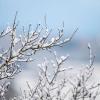 Nach den Schneefällen in den kommenden Tagen überrascht der Ausblick aufs Wochenende: Es wird deutlich wärmer.