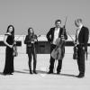 Unterwegs in Richtung zeitgenössische Musik: das Leopold Mozart Quartett mit (von links) Mariko Umae, Aleksandra Manic, Johannes Gutfleisch und Christian Döring.