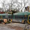 Ein Bus der Seattle Metro lässt die Überreste eines Baumes nach einem "Bomben-Zyklon", einem Unwetter in der vergangenen Nacht, in Seattle entfernen. 