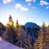 Im Allgäu hat es Ende November kräftig geschneit, am Tag darauf schien die Sonne. Die schönsten Schnee-Fotos unserer Reporter.