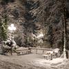 In der Nacht auf Freitag sind in Bad Wörishofen und im Rest des Unterallgäus gut 15 Zentimeter Schnee gefallen. Auf zum Winterspaziergang!