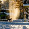 Im Allgäu hat es Ende November kräftig geschneit, am Tag darauf schien die Sonne. Die schönsten Schnee-Fotos unserer Reporter.