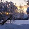 Im Allgäu hat es Ende November kräftig geschneit, am Tag darauf schien die Sonne. Die schönsten Schnee-Fotos unserer Reporter.