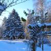 In der Nacht auf Freitag sind in Bad Wörishofen und im Rest des Unterallgäus gut 15 Zentimeter Schnee gefallen. Auf zum Winterspaziergang!