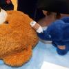 Kuscheln hilft immer. Auch unter Patienten. Hier spenden sich Teddy und der kleine Elefant mit dem gebrochenen Rüssel gegenseitig Trost.