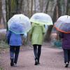 Verdauungsspaziergang - auch bei Schmuddelwetter: Bewegung lässt uns in der Vorweihnachtszeit besser fühlen.