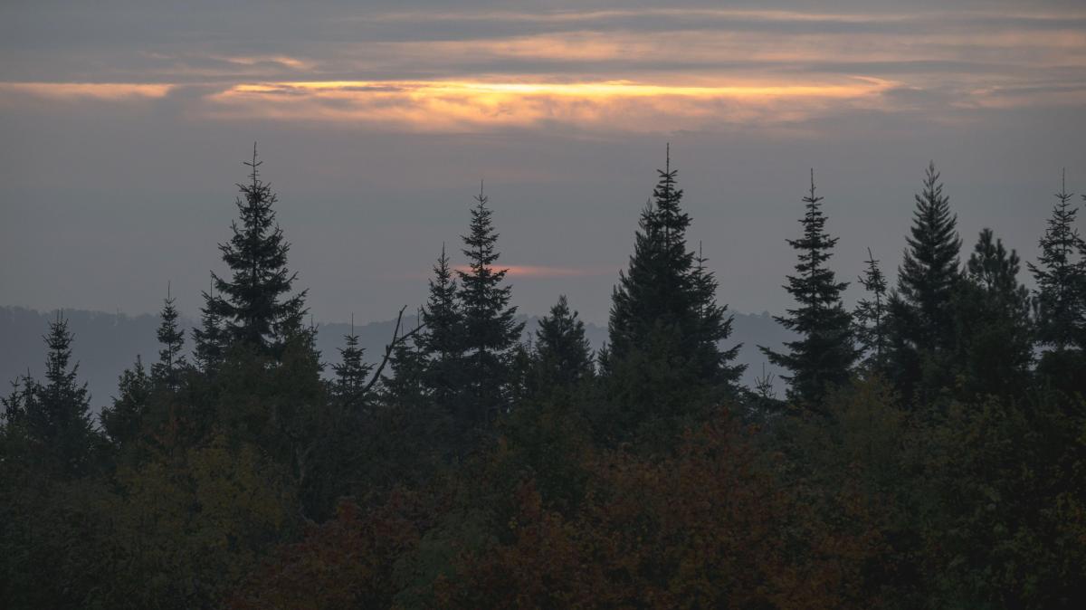 wetter-am-montag-mildes-klima-zum-wochenstart-es-ist-von-kurzer-dauer