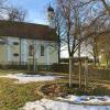 Auf dem Friedhof an der Maria-Schnee-Kapelle in Nassenbeuren können rund um diese beiden Bäumen jeweils bis zu 28 Urnen bestattet werden. Auch auf dem Mindelheimer Friedhof sind ab dem kommenden Jahr naturnahe Bestattungen unter einem Baum möglich.