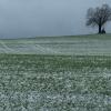 Regnet oder schneit es heute in Bayern? 