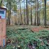 Auf neuen Holzstelen sind Tafeln mit weiteren Bildern und Informationen zum Waldwerk Kuno angebracht.