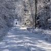 Oberliezheim ist nun nicht nur als Winterwonderland bekannt, im Herbst war das Dorf in aller Munde.