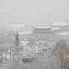 Der größte November-Schneefall seit Beginn der Wetteraufzeichnung vor mehr als 100 Jahren hat die südkoreanische Innenstadt in Weiß gehüllt.