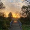 Das Foto von Manuela Gollmann ist bei einem Abendspaziergang im Naturerlebnispfad Zusamaue an der Rücklenmühle Gabelbach entstanden. Im Hintergrund sind die Umrisse der Gabelbacher Dorfkirche St. Martin - eine der schönsten Dorfkirchen Bayerns zu erkennen.