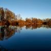 Beeindruckende Wasserspiegelungen am Sander Baggersee.