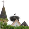 Seit 20 Jahren gehört eine wachsende Zahl von Storchennestern zum Ortsbild von Raisting. Das Foto zeigt den Horst auf der Kirche in Sölb.