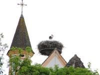 Raisting ist ein Ort, an dem sich nicht nur schon seit mindestens 1250 Jahren die Menschen wohlfühlen, sondern auch die Störche, wie dieses Bild von der Kirche St. Margaretha in Sölb zeigt.