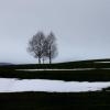 Das Wetter soll in den kommenden Tagen in Bayern mit Regen, Schneeschauern und Nebel eher ungemütlich werden.