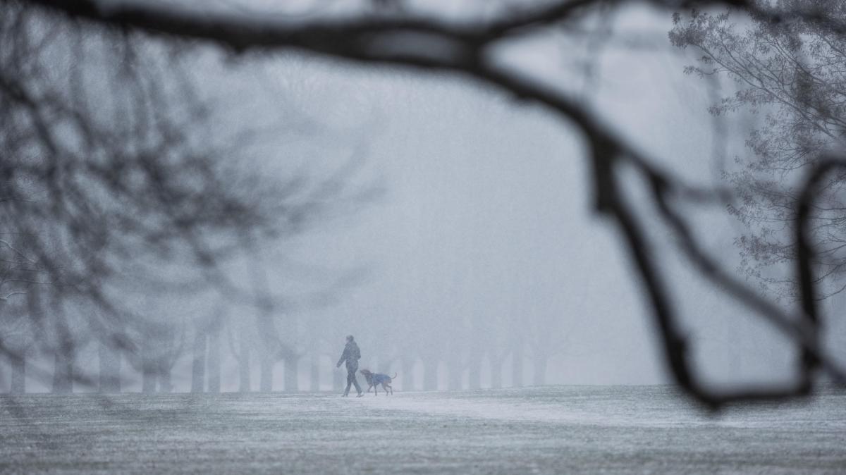 viel-nebel-am-donnerstag-in-bayern-es-bleibt-kalt