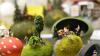 Eine feste Tradition über die Osterfeiertage ist das Bemalen und Verzieren von Eiern. Die Kunstwerke werden dann am Ostersonntag versteckt und von Kindern gesucht. Die meisten Ostereier im Allgäu besitzt wohl Monica Nusser (73) aus Nesselwang. 
Coronazeit gut genutztEntdeckt und gekauft hat sie die Einzelstücke auf Märkten in ganz Deutschland, auch auf Ihren Reisen quer über den Globus findet sie immer wieder besondere Exemplare. Für sie ist einfach das ganze Jahr über Ostern. Die Coronazeit hat Monica Nusser genutzt, um nochmal nachzulegen: In ihrem Museum kann man mittlerweile rund 3.000 Eier aus der ganzen Welt in 22 Vitrinen bewundern. Allein im letzten Jahr sind acht neue Vitrinen mit Ostereiern dazugekommen. Erbschaft: 25 Ostereier fürs Museum - 1.000 Euro für Ukraine-HilfeÜber 300 Eier kamen alleine im Februar aus einer Erbschaft. Eine Frau aus Recklinghausen im Ruhrgebiet hatte verfügt, dass ihre Ostereier nach ihrem Tod an Monica Nusser und ihr Museum gehen sollten. Als die Frau starb, bekam Monica Nusser die 300 Ostereier, hat allerdings nur 25 davon für das Museum ausgesucht. Die anderen hat sie versteigert: für einen guten Zweck. Die Kaufbeurer Hilfsorganisation Humedica freut sich über eine Spende von 1.000 Euro für die medizinische Hilfe in der Ukraine.Die Sammelleidenschaft hat vor fast 40 Jahren angefangen - und zwar mit einem selbstbemalten Ei Ihrer Schwester. Darauf zu sehen: Die Familie von Monica Nusser.Verzierte Eier schon in vorchristlicher ZeitBereits die alten Ägypter verwendeten bemalte Eier als Grabbeigabe. Da waren sogar schon Punkte und Streifen auf den Eiern, erzählt Monica Nusser. Besonders im Biedermeier-Zeitalter, zwischen 1815 und 1849, waren verzierte Eier sehr beliebt. Damals haben die Menschen die Eier meisten mit kleinen Sprüchen versehen und zu besonderen Anlässen verschenkt. So wie wir den Brauch zu Ostern kennen, existiert er seit ungefähr seit 70 Jahren.

In Ihrem Museum stellt die 73-Jährige aber nicht nur Gesammeltes, sondern auch Selbstgemachtes aus. Ihre Leidenschaft: Verzierte Eier im Biedermeier-Stil. Dazu ritzt, ätzt oder beklebt Nusser die Eier. Alternativ fräst sie auch Muster – so wird zum Beispiel aus einem Straußenei ein filigranes Kunstwerk. "Bemalen, das können andere besser als ich", sagt die Expertin mit einem Schmunzeln.

Auch vollkommen ausgefallene und skurrile Exemplare finden sich im Ostereiermuseum. So gibt es zum Beispiel eine Miniatursauna in einem Hühnerei oder das berühmte Gemälde Der Kuss von Gustav Klimt auf Ei gebannt.Den Überblick verliert Monica Nusser trotz der Vielzahl nicht. "Ich erinnere mich an jedes Ei, das ich gesammelt habe".