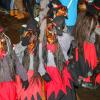 Die Faschingszeit ist in vollem Gange: In Memmingen sind am Wochenende zahlreiche Fußgruppen durch die Altstadt marschiert. Hier gibt es Bilder vom Nachtumzug.