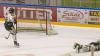 In diesem Freitag-Abend-Spiel der DEB Oberliga Süd ECDC Memmingen Indians - Höchstadter EC , dass die Indians mit 3:1 gewinnen konnten, standen beide Goalies, Marco Eisenhut bei den Maustädtern und Benjamin Dierksen beim Höchstadter EC, unter Dauerbeschuss. Das 1. und 2. Drittel gewannen die Indians mit jeweils 1:0 durch Tore von Christopher Kasten in der 7. Min. und Sergei Topol in der 26. Min. Spielstand nach dem 2. Drittel 2:0 für die Memminger. Im Abschlussdrittel erzielten die Gäste den Anschlusstreffer in der 51.Min. zum 2:1 und es wurde noch einmal spannend. Doch das war das einzige Tor das Marco Eisenhut zulassen musste. Jaroslav Hafenrichter war es schließlich wieder einmal der den Sieg festmachte mit seinem Schuss, nach einem Konter, ins leere Tor der Gäste aus Höchstadt in der Schlussminute unter dem Jubel der zahlreichen Fans.