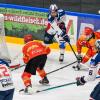 Der ESV Kaufbeuren spielte am Wochenende gegen die Jungadler Mannheim. Das Spiel am Samstag gewann Kaufbeuren 5:3. Das Spiel am Sonntag gewannen die Jungadler Mannheim knapp nach der Verlängerung mit 3:4.